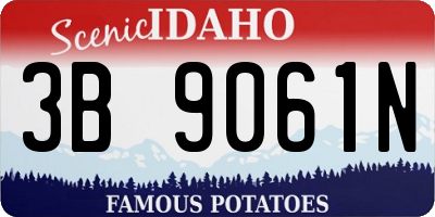 ID license plate 3B9061N