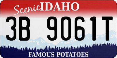 ID license plate 3B9061T