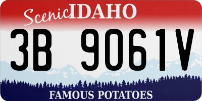 ID license plate 3B9061V
