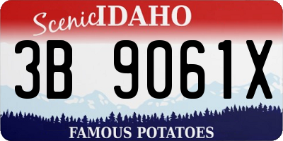 ID license plate 3B9061X