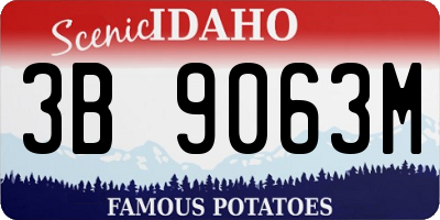 ID license plate 3B9063M