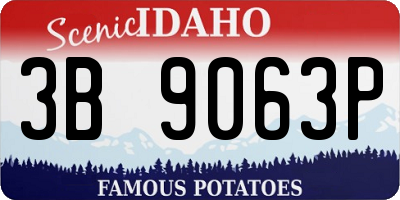 ID license plate 3B9063P