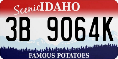 ID license plate 3B9064K
