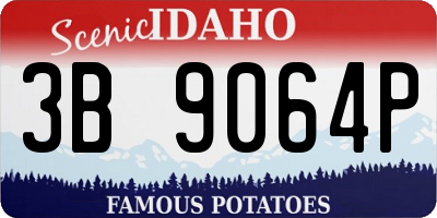 ID license plate 3B9064P