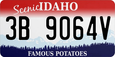 ID license plate 3B9064V