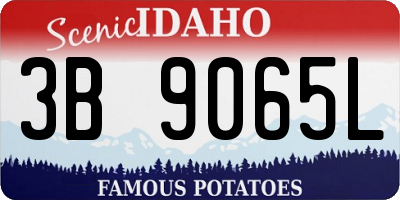 ID license plate 3B9065L