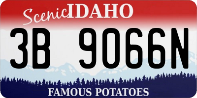 ID license plate 3B9066N