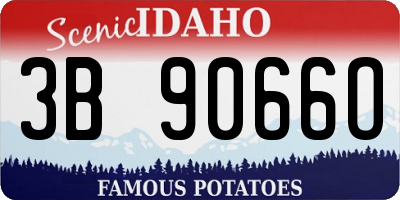 ID license plate 3B9066O