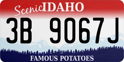 ID license plate 3B9067J