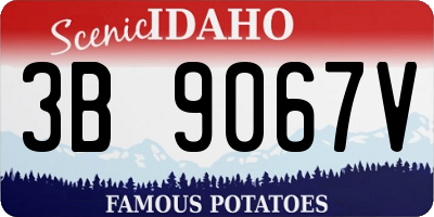 ID license plate 3B9067V