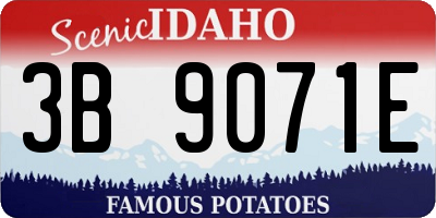 ID license plate 3B9071E