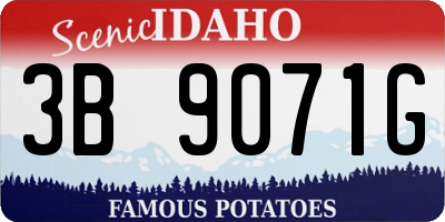 ID license plate 3B9071G
