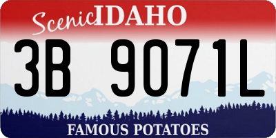 ID license plate 3B9071L