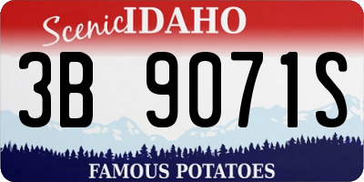 ID license plate 3B9071S