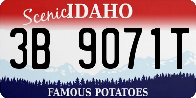 ID license plate 3B9071T