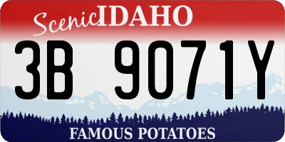 ID license plate 3B9071Y
