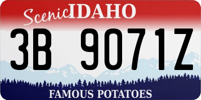 ID license plate 3B9071Z