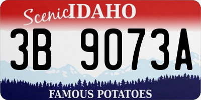 ID license plate 3B9073A