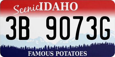 ID license plate 3B9073G