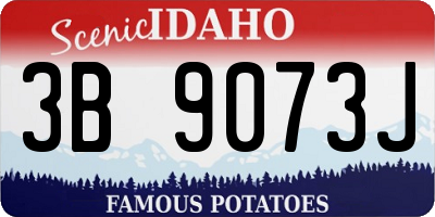 ID license plate 3B9073J