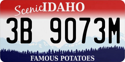 ID license plate 3B9073M