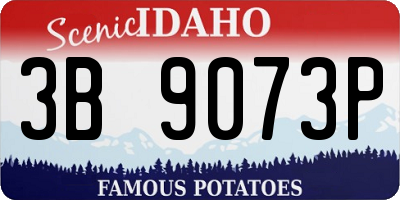 ID license plate 3B9073P