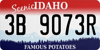 ID license plate 3B9073R