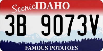 ID license plate 3B9073V