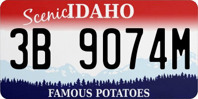ID license plate 3B9074M