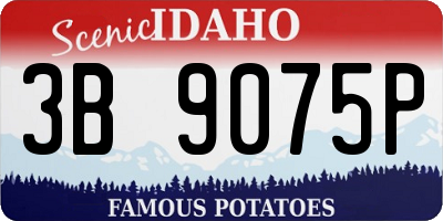 ID license plate 3B9075P