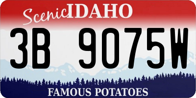 ID license plate 3B9075W