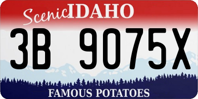 ID license plate 3B9075X