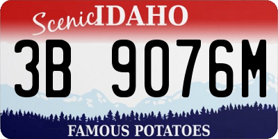 ID license plate 3B9076M