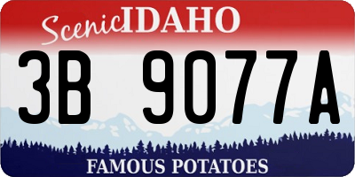 ID license plate 3B9077A