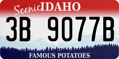 ID license plate 3B9077B
