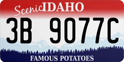 ID license plate 3B9077C