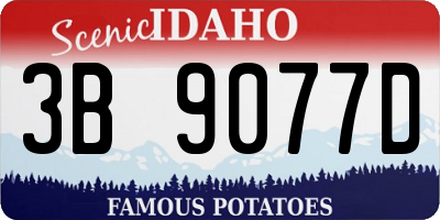 ID license plate 3B9077D