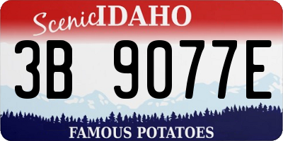 ID license plate 3B9077E