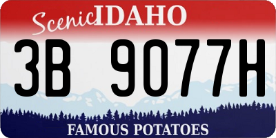 ID license plate 3B9077H