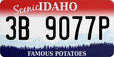 ID license plate 3B9077P