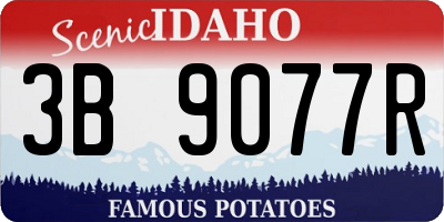 ID license plate 3B9077R