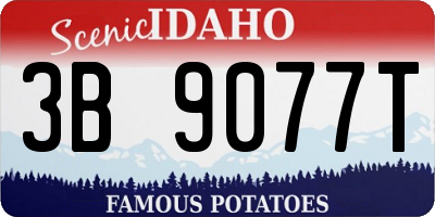 ID license plate 3B9077T