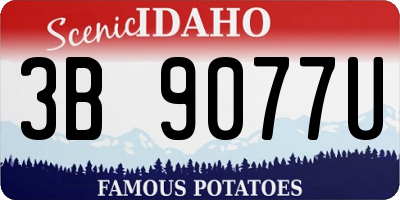 ID license plate 3B9077U
