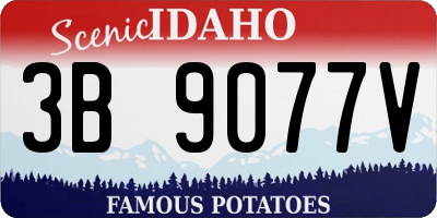 ID license plate 3B9077V
