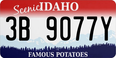 ID license plate 3B9077Y