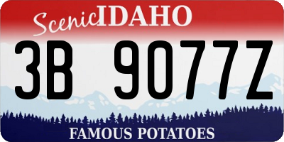 ID license plate 3B9077Z