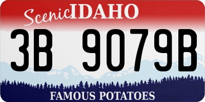 ID license plate 3B9079B