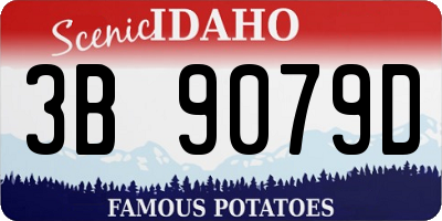 ID license plate 3B9079D