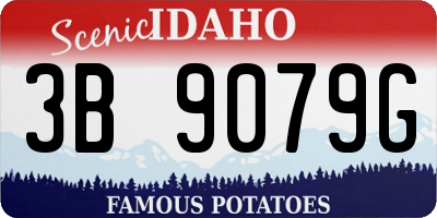 ID license plate 3B9079G