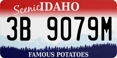 ID license plate 3B9079M